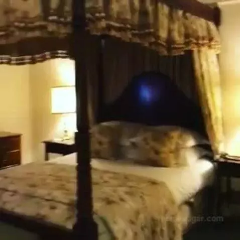 Suite bed picture #12