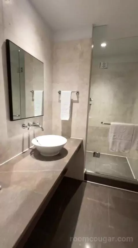 Superior King Room (#1412) bathroom picture #8