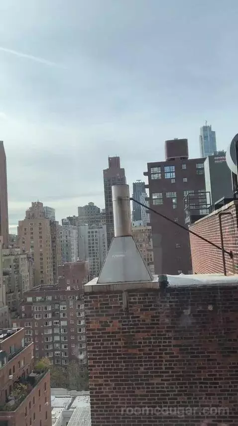 Penthouse Park Av. Jr. Suite with Terrace (#1802) view picture #6