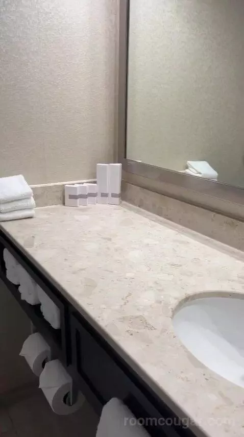 King Room with Interior View (D4144) bathroom picture #3