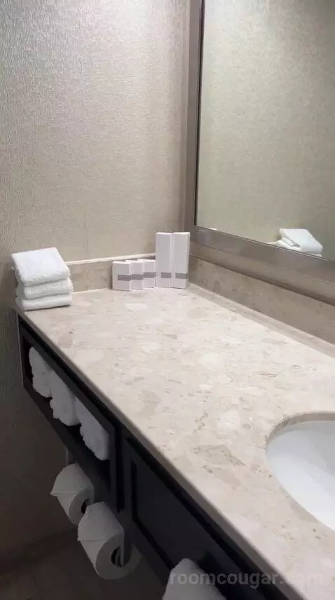 King Room with Interior View (D4144) bathroom picture #4