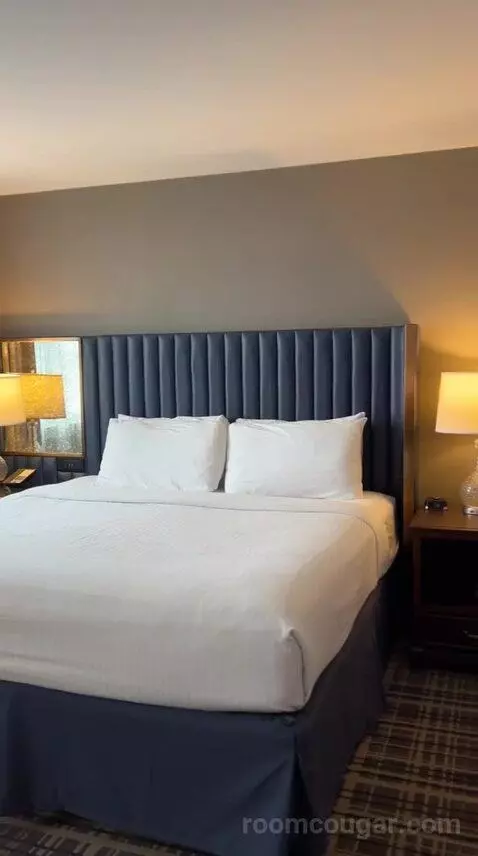 King Room (#514) bed picture #6