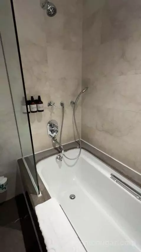 Superior King Room (#1594) bathroom picture #7