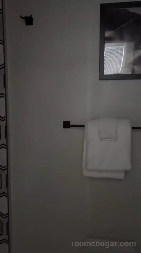 2 Bedroom (#120) bathroom picture #2