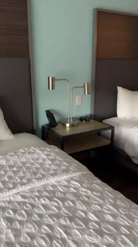 Double Room with Two Double Beds (#609) bed picture #5