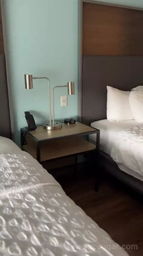 Double Room with Two Double Beds (#609) bed picture #8
