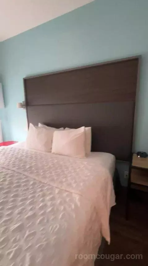 King Room (#725) bed picture #11