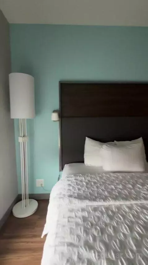 Queen Room with Two Queen Beds - Hearing Access (#505) bed picture #9