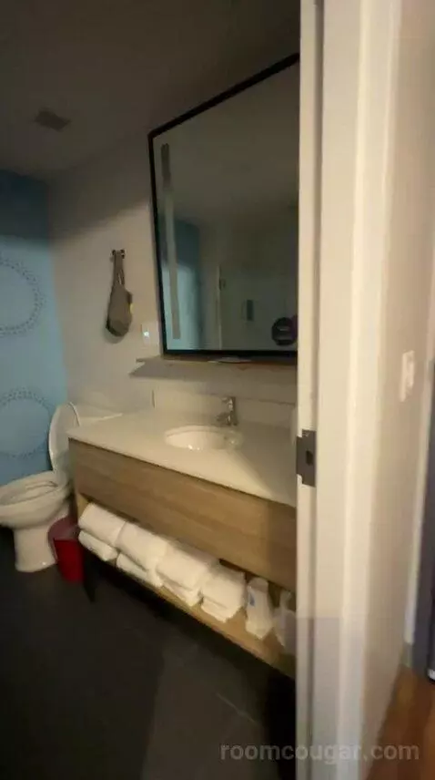 Queen Room with Two Queen Beds - Hearing Access (#505) bathroom picture #3