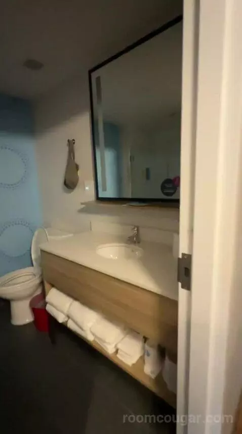 Queen Room with Two Queen Beds - Hearing Access (#505) bathroom picture #4