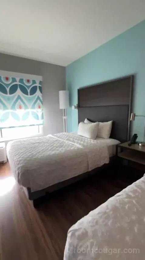 Queen Room with Two Queen Beds - Hearing Access (#505) bed picture #6