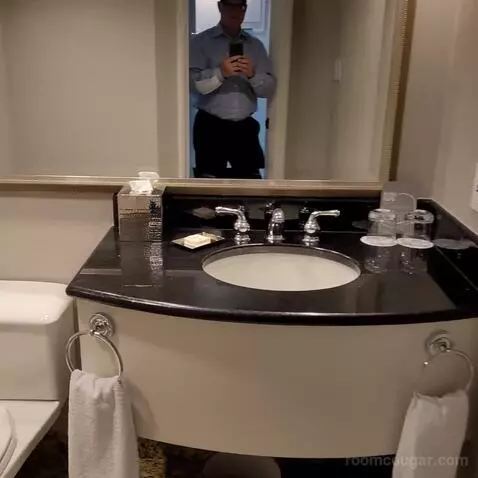 Fairmont Room with King Bed (#1345) bathroom picture #9