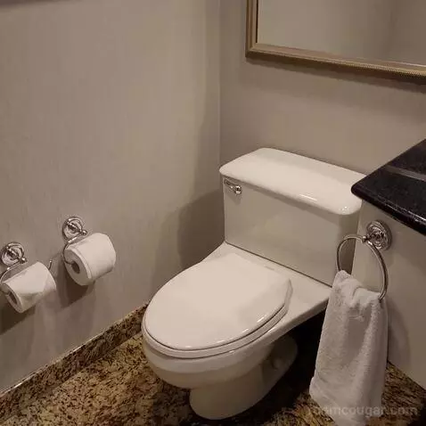 Fairmont Room with King Bed (#1345) bathroom picture #11