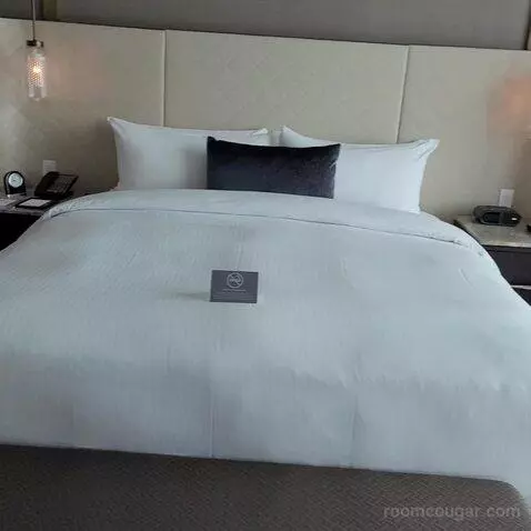 Fairmont Room with King Bed (#1345) bed picture #5