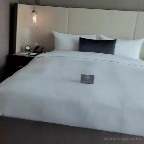 Fairmont Room with King Bed (#1345) bed picture #6