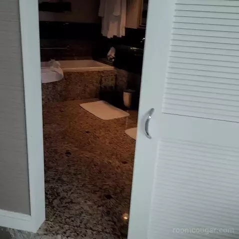 Fairmont Room with King Bed (#1345) bathroom picture #1