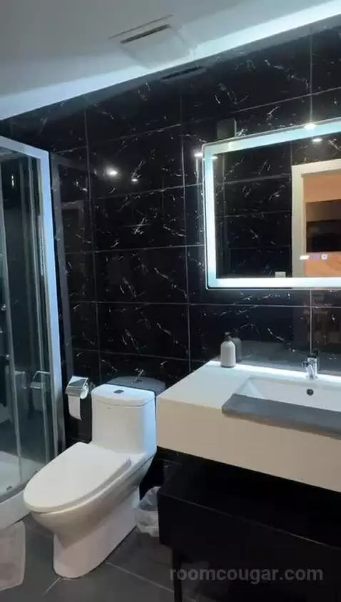 Suite (#5) bathroom picture #1