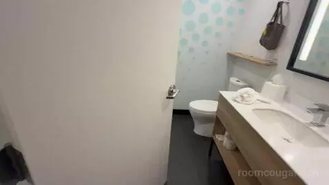 King Room (#312) bathroom picture #7