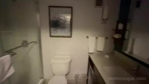 King Room (#411) bathroom picture #1