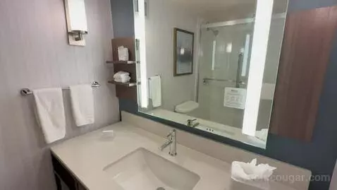 King Room (#411) bathroom picture #3
