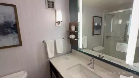 King Room (#411) bathroom picture #11