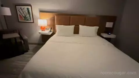King Room - Hearing Access (#404) picture #11