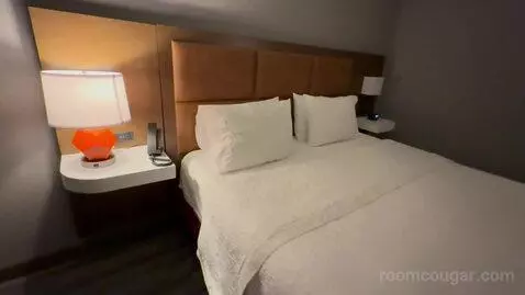 King Room - Hearing Access (#404) picture #12