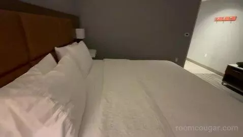 King Room - Hearing Access (#404) picture #13