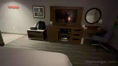 King Room - Hearing Access (#404) picture #14