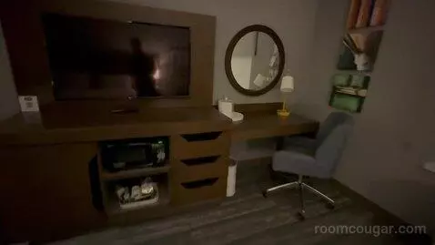 King Room - Hearing Access (#404) picture #15