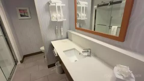 King Room - Hearing Access (#404) bathroom picture #5