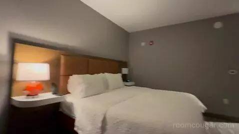King Room - Hearing Access (#404) picture #23