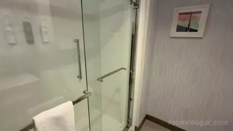 King Room - Hearing Access (#404) picture #5