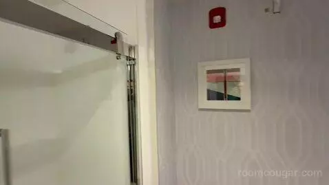 King Room - Hearing Access (#404) picture #6
