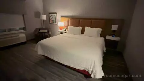 King Room - Hearing Access (#404) picture #10
