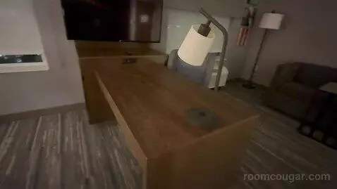 One Bedroom King Suite (#228) picture #12
