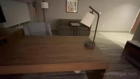 One Bedroom King Suite (#228) picture #13