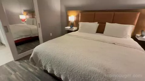 One Bedroom King Suite (#228) picture #15