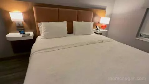 One Bedroom King Suite (#228) picture #16