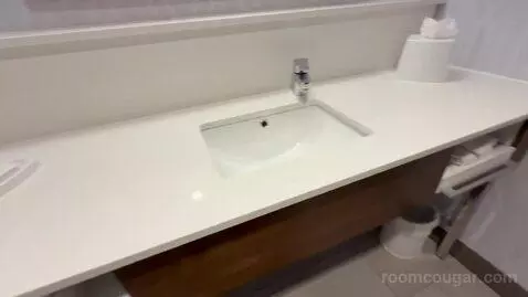 One Bedroom King Suite (#228) picture #18