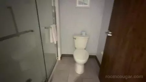 One Bedroom King Suite (#228) picture #19