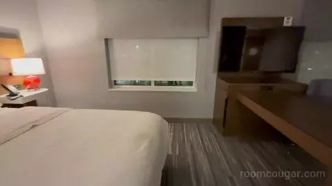 One Bedroom King Suite (#228) picture #21