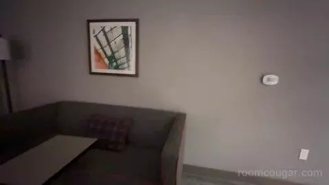 One Bedroom King Suite (#228) picture #4