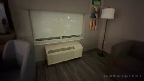 One Bedroom King Suite (#228) picture #6