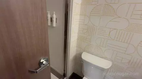 King Studio Suite (#432) bathroom picture #5