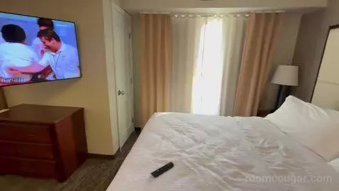 Non-Smoking King Studio Suite (#220) bed picture #1
