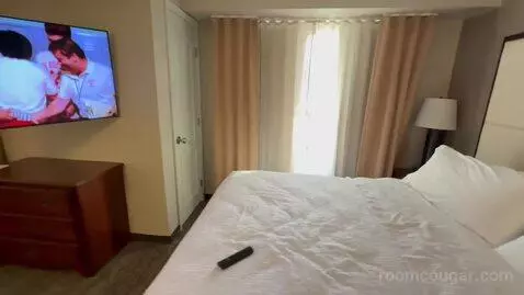 Non-Smoking King Studio Suite (#220) bed picture #2