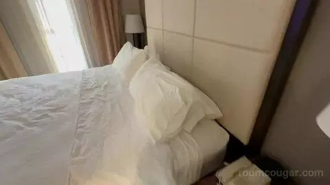 Non-Smoking King Studio Suite (#220) bed picture #4