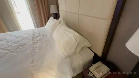Non-Smoking King Studio Suite (#220) bed picture #5