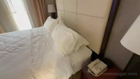 Non-Smoking King Studio Suite (#220) bed picture #6